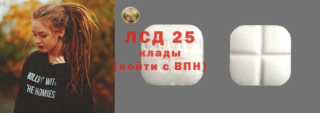 крисы Наволоки
