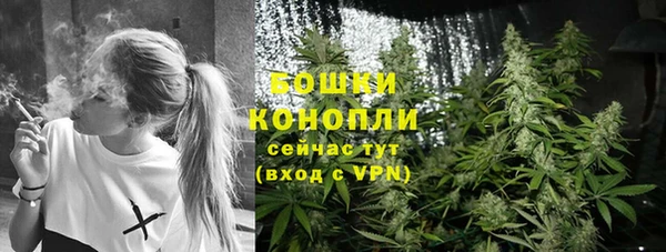 крисы Наволоки